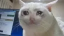 50번대 글카지만 dlss5 기대 안하는 이유