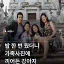밥 한번 줬더니 가족사진에 끼어든 강아지