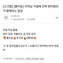 키작남 사귈때 진짜 현타왔던거 말해보는 달글