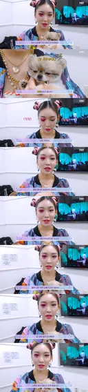 너무 귀엽게 생긴 청하 반려견 아란이.twt