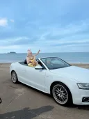 블루아카)수영복 티파티 코스프레