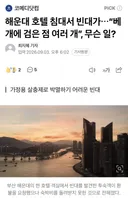 부산 해운대 호텔에서 빈대 발견