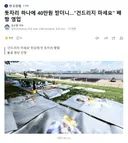 돗자리 하나에 40만원 받더니..건드리지 마세요 배짱 영업