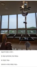 암으로 생명연장을 한 경우
