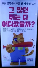유게 길냥이 논쟁 중 다들 확실하게 말할 수 있는 것