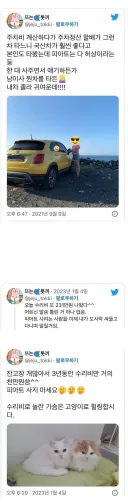 외제차 훈수두는 틀딱.jpg