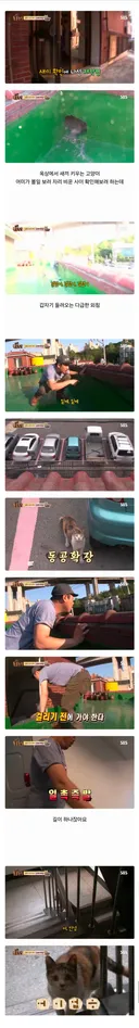 동물농장 레전드 새끼 확인하다 걸린 제작진.jpg