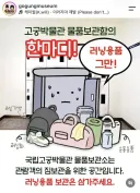 운동으로 뭉치면 양심,지능,염치가 사라지는군요ㅋㅋ