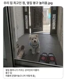 우리집 최고인 점