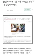 캣맘들 좋아죽는 방법은 '이주방사'다