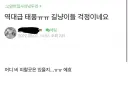 태풍에도 꺾이지 않는 캣맘들의 신념