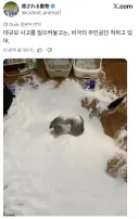 대규모 사고를 당한 비극의 주인공 코스프레.jpg