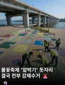 불꽃축제 얌체 돗자리 엔딩