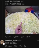 음식 손질한 거 자랑하는데 빗자루 딱 걸림