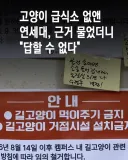y대에서 길고양이 급식소 없애자 캣맘측 반발