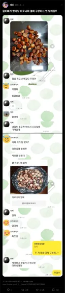 밤이랑 마로니에 열매 구분하는 방법