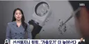 폭염 때문에 제가 없어졌다고 걱정하신 분들이 많은 것 같습니다
