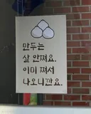 만두의 비밀.