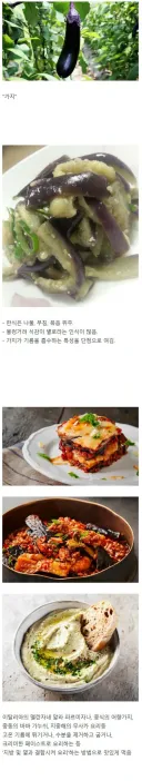 유독 한국에서만 요리법이 뒤쳐졌다는 식재료