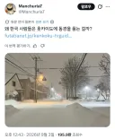 일본인: 한국인들 훗카이도 눈 왜 좋아하세요?
