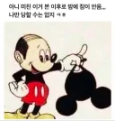 알고 싶지 않았던 미키마우스 세월의 흔적.jpg