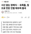 네팔은 지금 시신도 못 찾아서 인형 놓고 장례식 치르고 있다는데