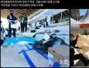 한강불 꼬추 제 근황