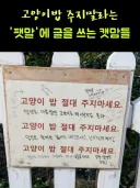 고양이밥 주지말라는 '팻말'에 글을 쓰는 캣맘들