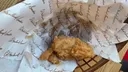 KFC 치킨 바뀌었나요?