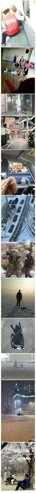 대한민국 역대 퓰리쳐상 후보 ㄷㄷ.jpg