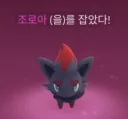 포켓몬)오랜 꿈을 이루려는 트위터인