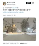 일본인: 한국인들 훗카이도 눈 왜 좋아하세요?