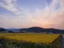 중소기업 안가는 진짜 이유중 하나
