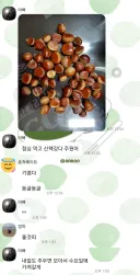 먹으면 뒤진다는 마로니에 열매 구분법