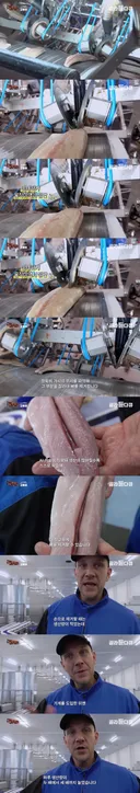 사람 다 잘리고 자동화된 고등어 공장 근황