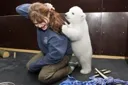 사람을 덮치고, 다리까지 물어 뜯는 북극곰...(심약자 클릭 금지..)