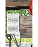 알바 첫 출근에 교통카드를 안 챙겼는데,,