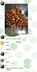 밤이랑 마로니에 구분하는 꿀팁