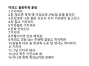 전설의 불꽃축제 팁.jpg