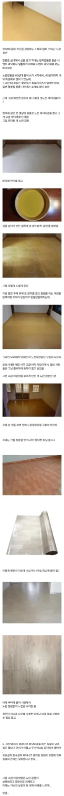 노란장판의 기원