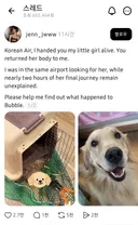 대한항공 화물칸에서 죽어서 돌아온 반려견