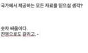 새덕후)관련 고양이문제는 이걸로 거의 끝난거같은데