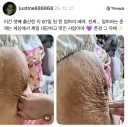 애기 셋 낳은 어머니 배 사진 논란