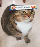 명조) 청초랑 방순이 관계가 뭐임?