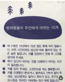 어느 동물 병원의 약봉지