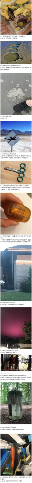 서양의 지식인 같은거 모음
