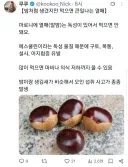 밤 처럼 생겼지만 먹으면 큰일나는 열매.jpg