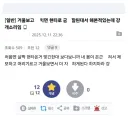 금딸을 시도하는 디시인사이드 유저