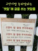 고양이 밥 주지 말라는 팻말에 빡친 캣맘들