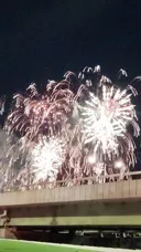 불꽃축제 다녀왔습니다.